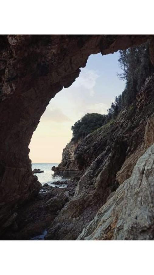 הוסטל חראני Αγρόκτημα Χελωναριά - Agroktima Chelonaria מראה חיצוני תמונה