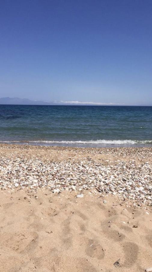 הוסטל חראני Αγρόκτημα Χελωναριά - Agroktima Chelonaria מראה חיצוני תמונה