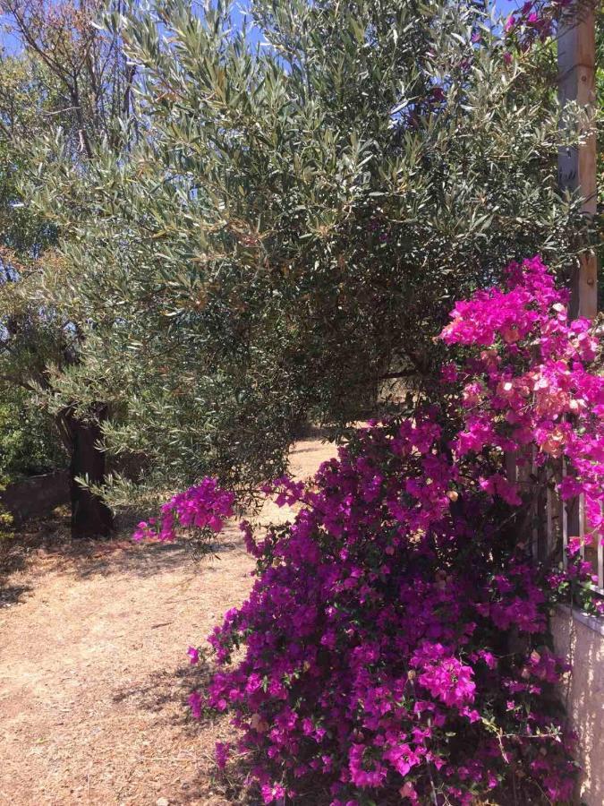 הוסטל חראני Αγρόκτημα Χελωναριά - Agroktima Chelonaria מראה חיצוני תמונה